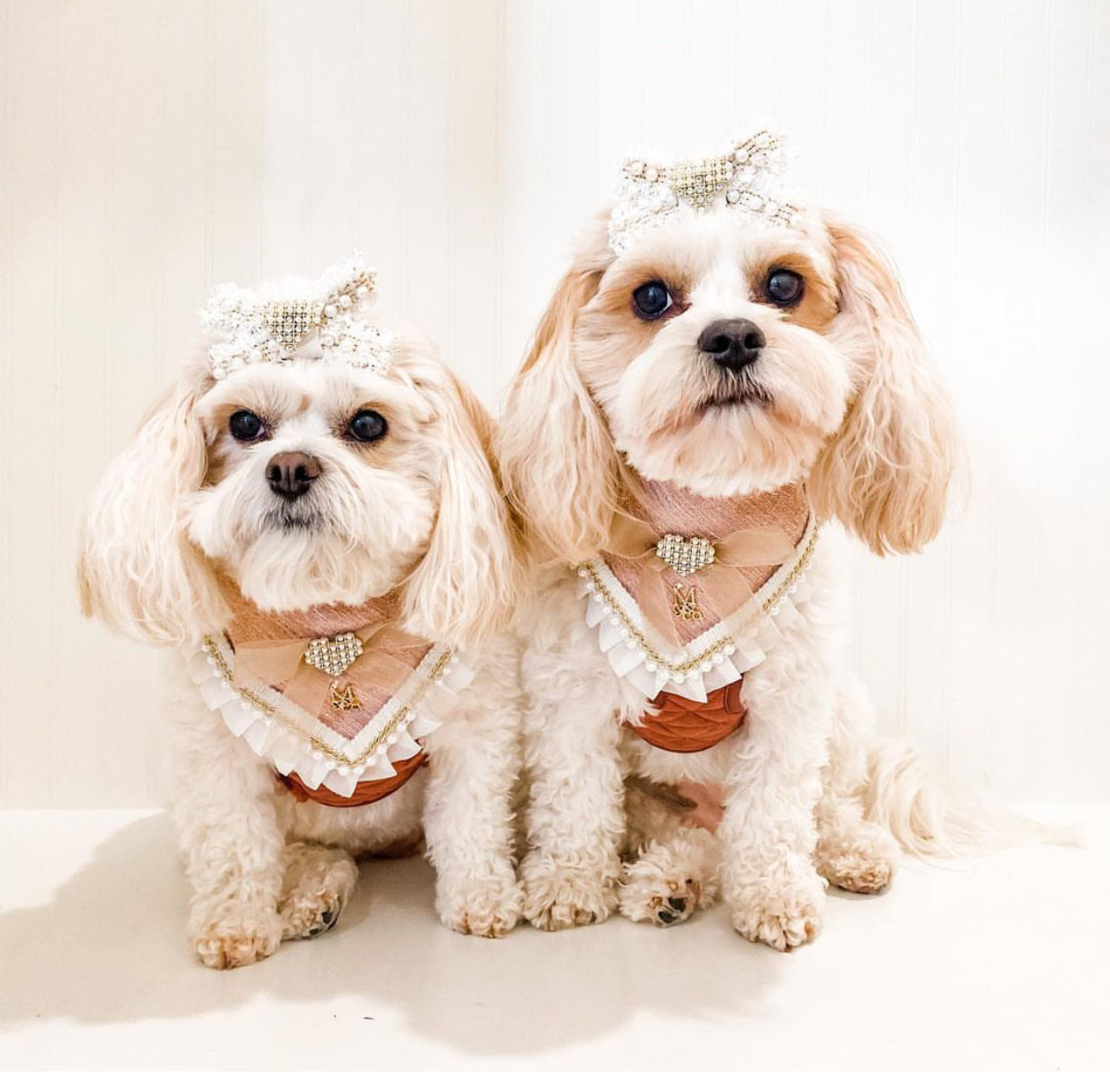 Romance Collection: The Amanda