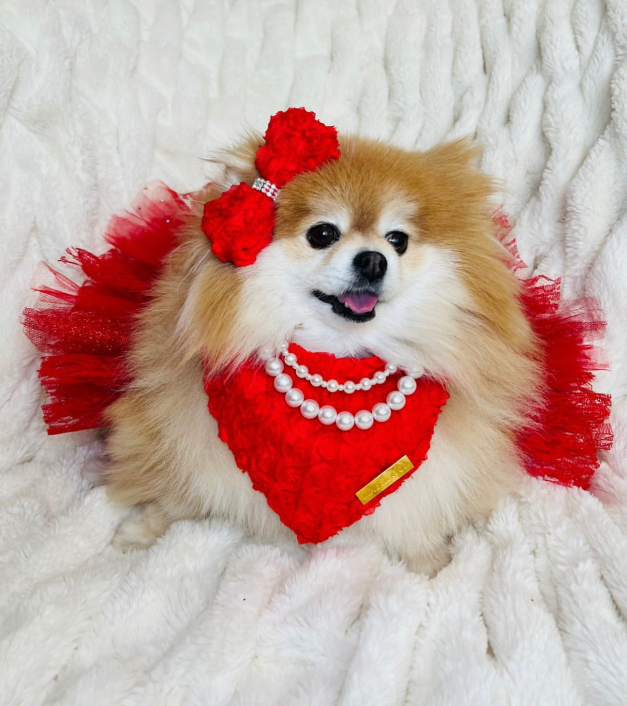 Forever Bliss: Scarlet