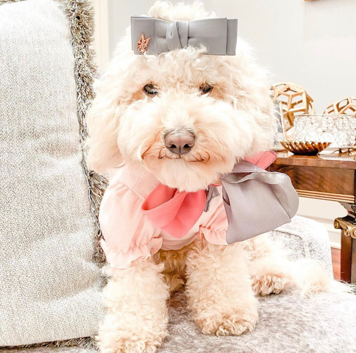 Mini Leather Bow: Titanium Smoke