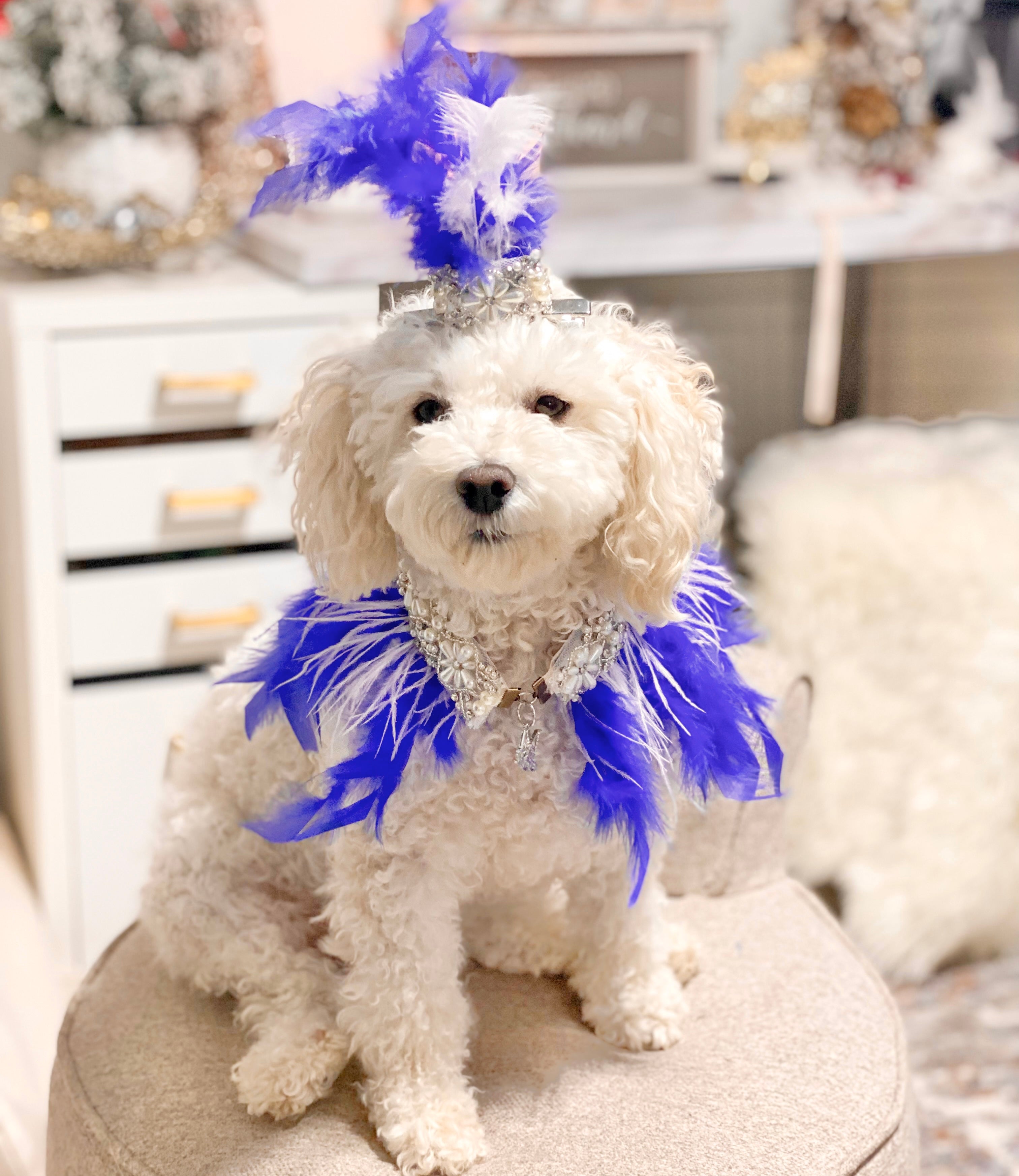 Feather Collection: Blue Ice