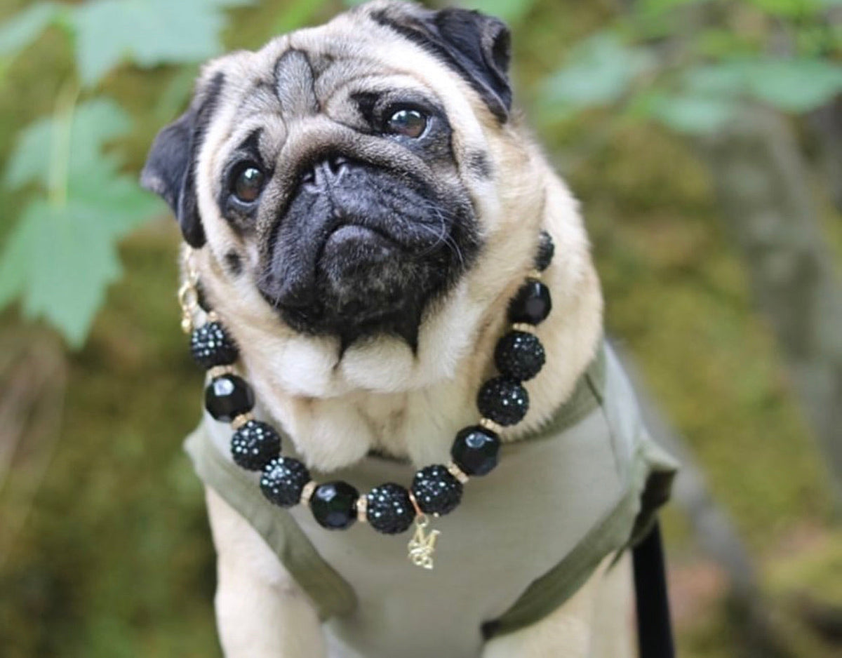 Necklace: Black Onyx