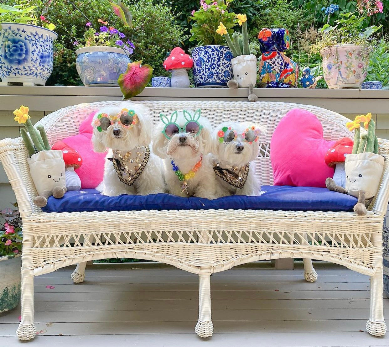 Celebrations : The Mia