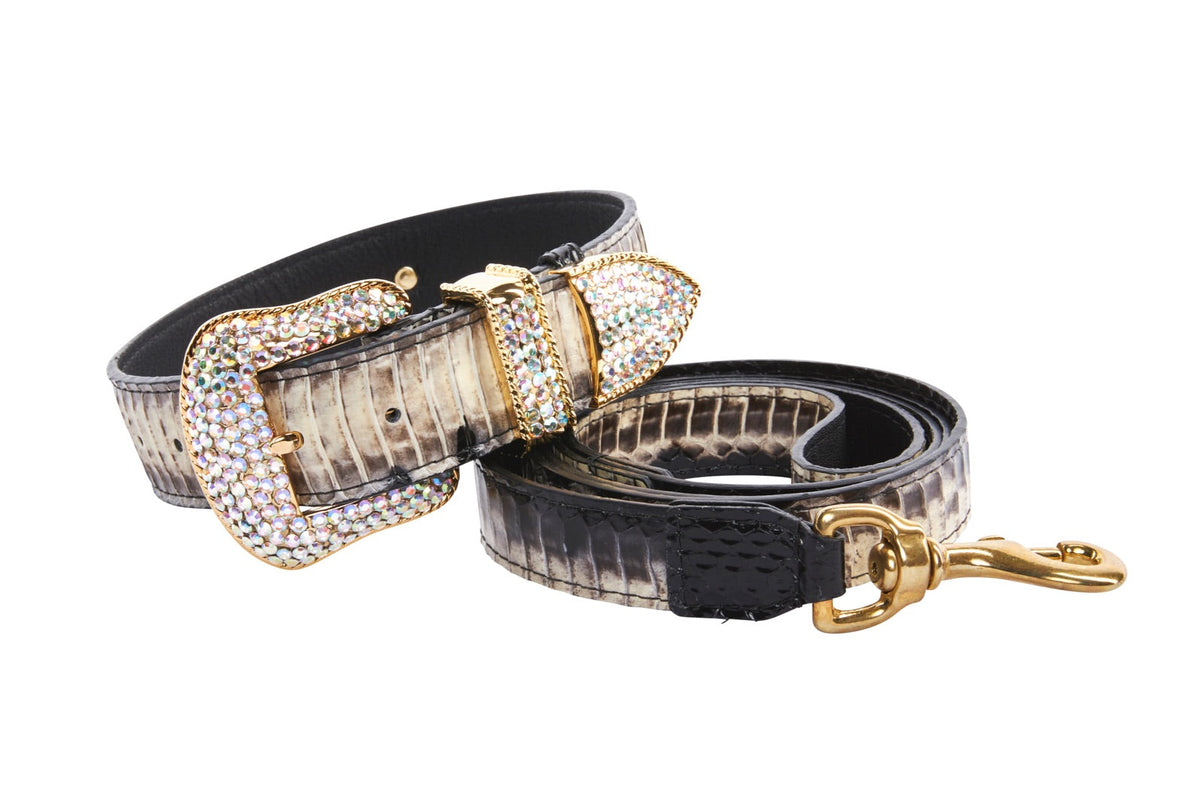 Allysa Payne Off White/Black Snake With Gold Swarovski Crystal Hardware Dog Collar & Leash Set