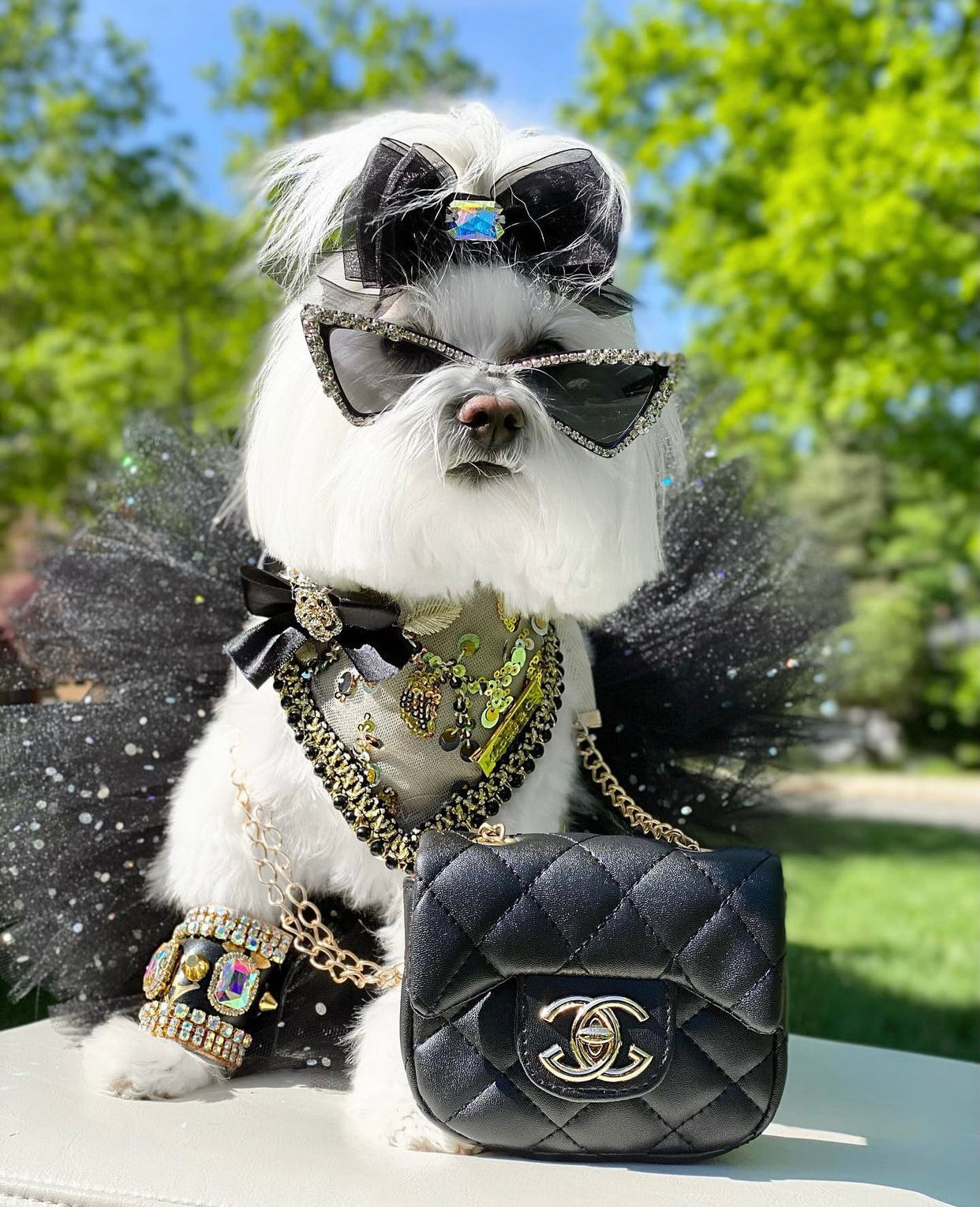 Celebrations : The Mia