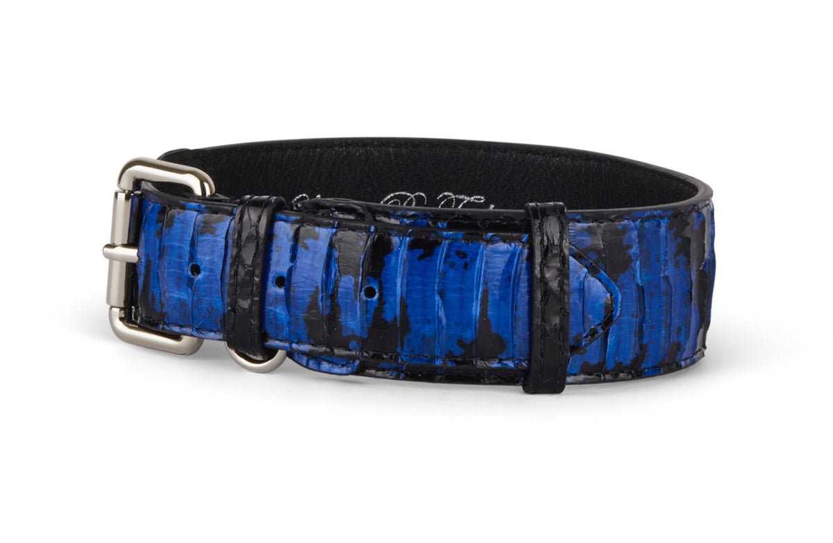 Allysa Payne Black and Royal Blue Snake 3-Inch Wide Style Dog Collar