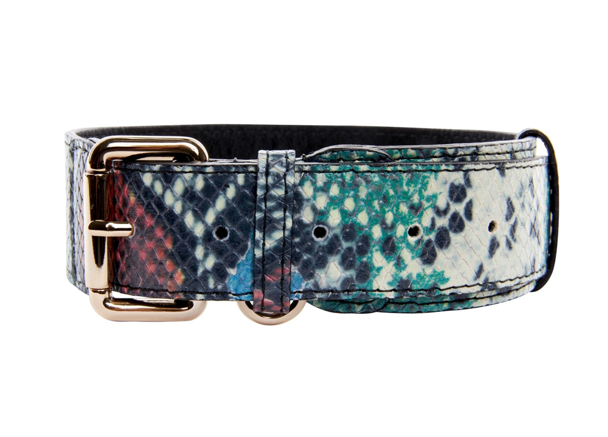 Allysa Payne Green, Blue, Black, Red Embossed Snake Italian Leather Dog Collar With Gold Classic Hardware