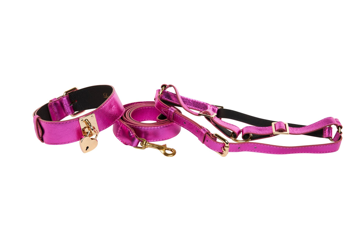 Allysa Payne Pink Foil Italian Leather Reversible Heart Locket/Classic Dog Collar, Leash & Harness Set