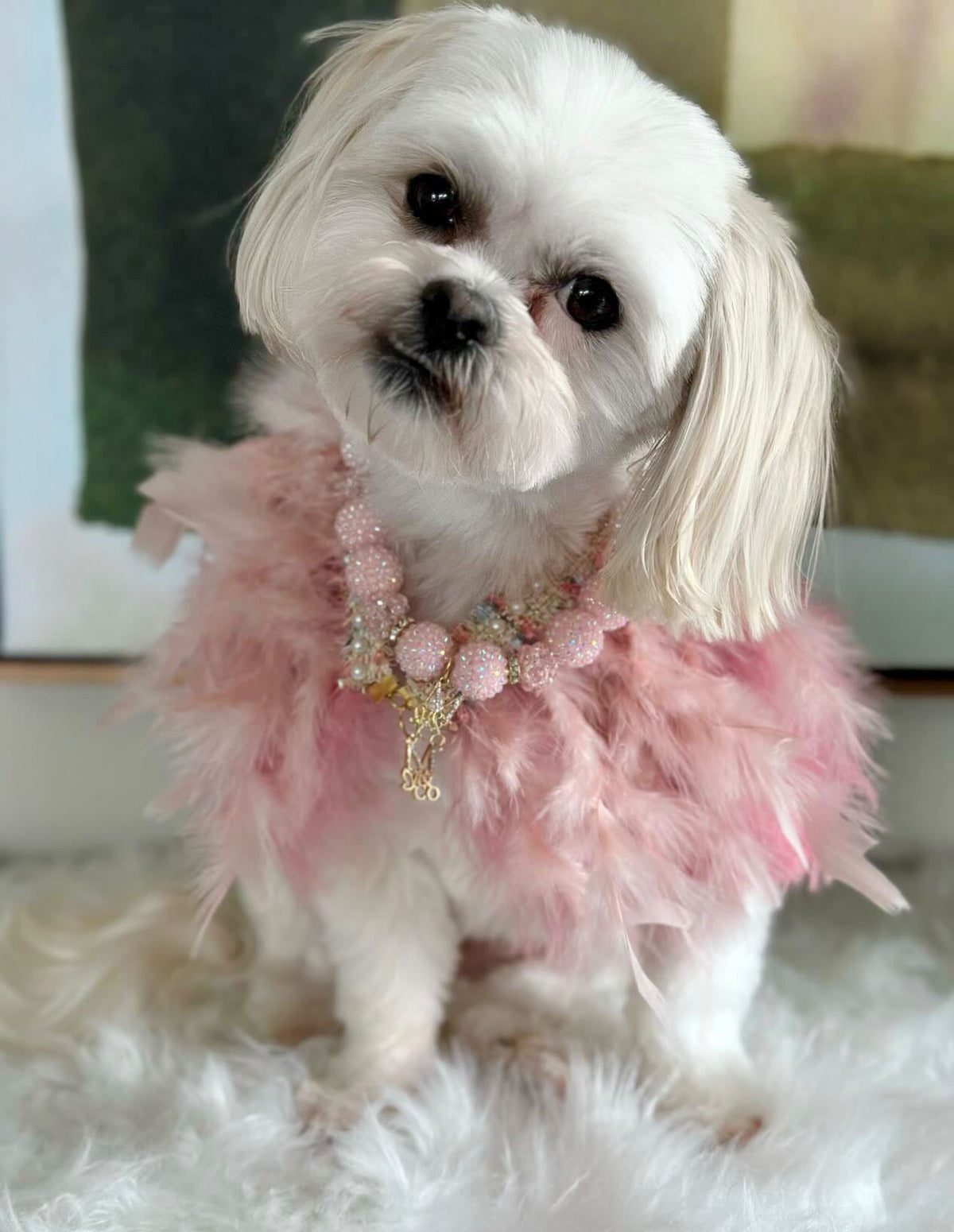 Haute: Whimsical*