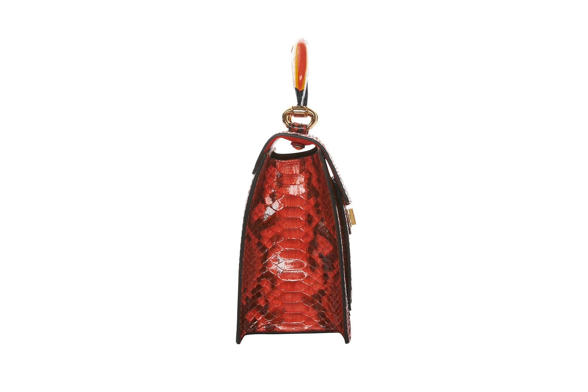 Allysa Payne The Toucan Handbag