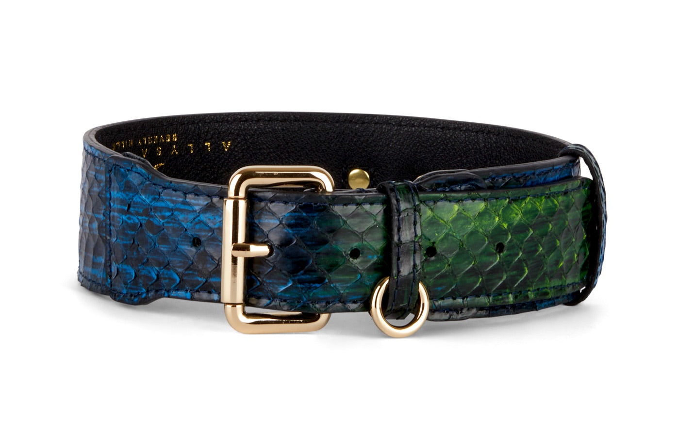 Allysa Payne Blue, Green, Black, Yellow Snake Classic Dog Collar