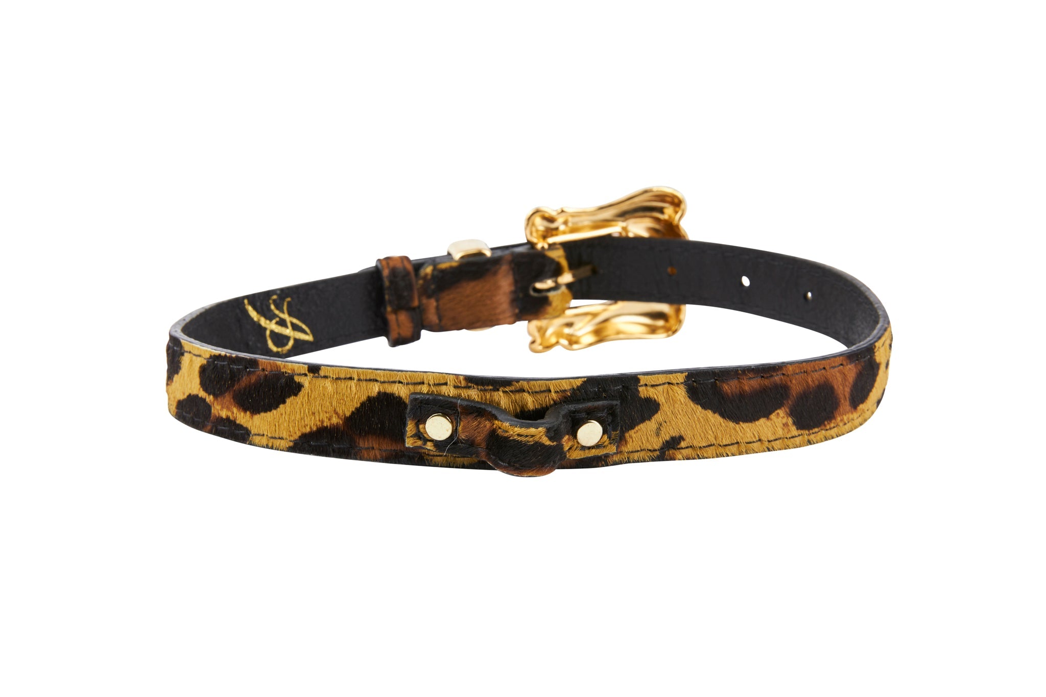 Leopard Print Hair On Hide Italian Leather Collar With Ornate Italian Hardware