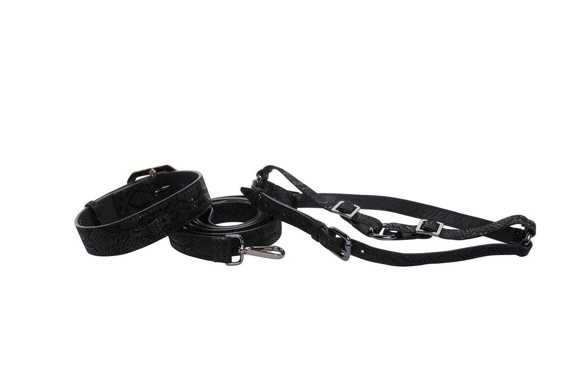 Allysa Payne Glamorous Black Snake Print Italian Leather With Gun Metal Grey Hardware Dog Collar, Leash & Harness Set