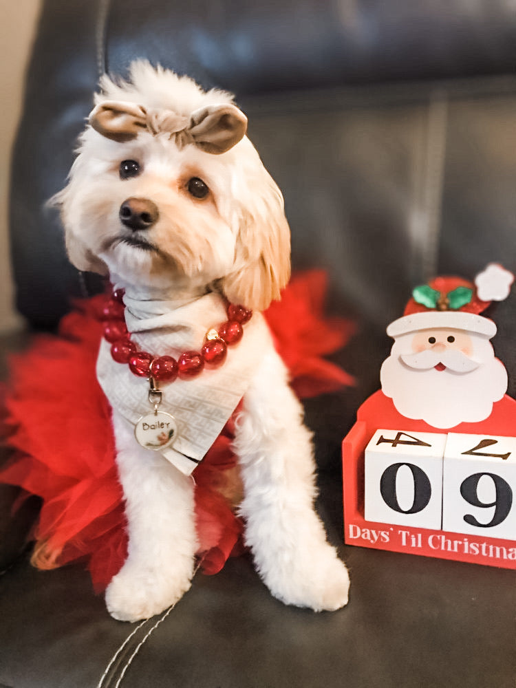 Velvet Bow: Crème Brûlée