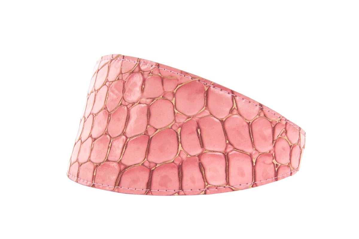 Allysa Payne Embossed Belly Side Croc Italian Leather Wide Style Dog Collar