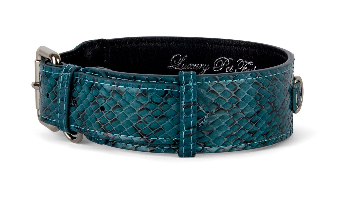 Allysa Payne Teal and Black Snake Classic Dog Collar