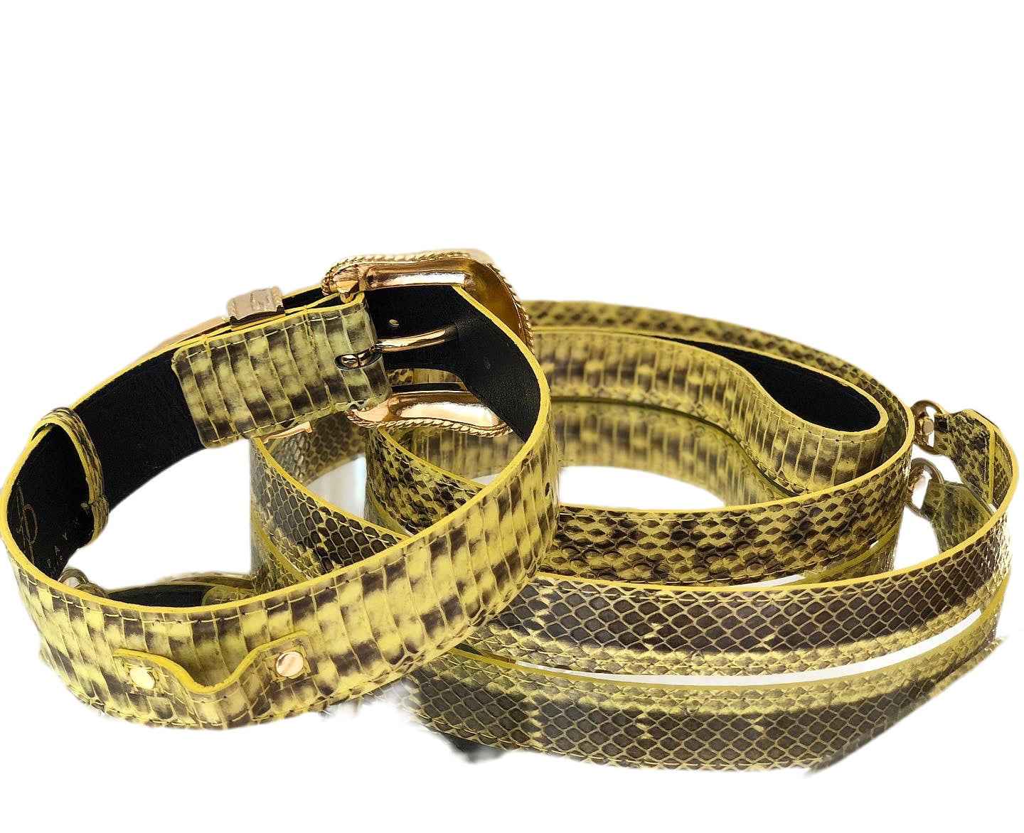 Allysa Payne Luxury Pet Fashion Soft Yellow & Black Snakeskin With Our Swarovski Crystal Hardware Dog Collar & Leash Set