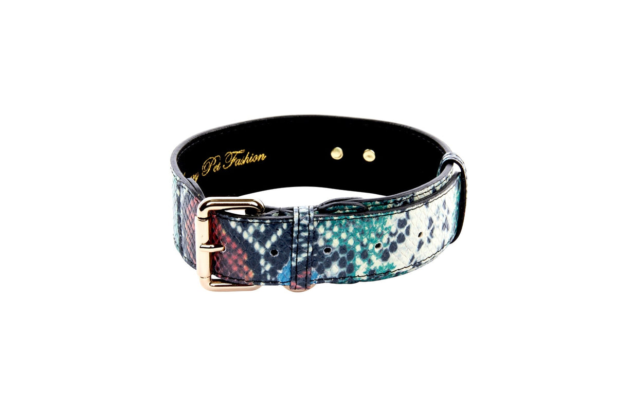 Allysa Payne Green, Blue, Black, Red Embossed Snake Italian Leather Dog Collar With Gold Classic Hardware