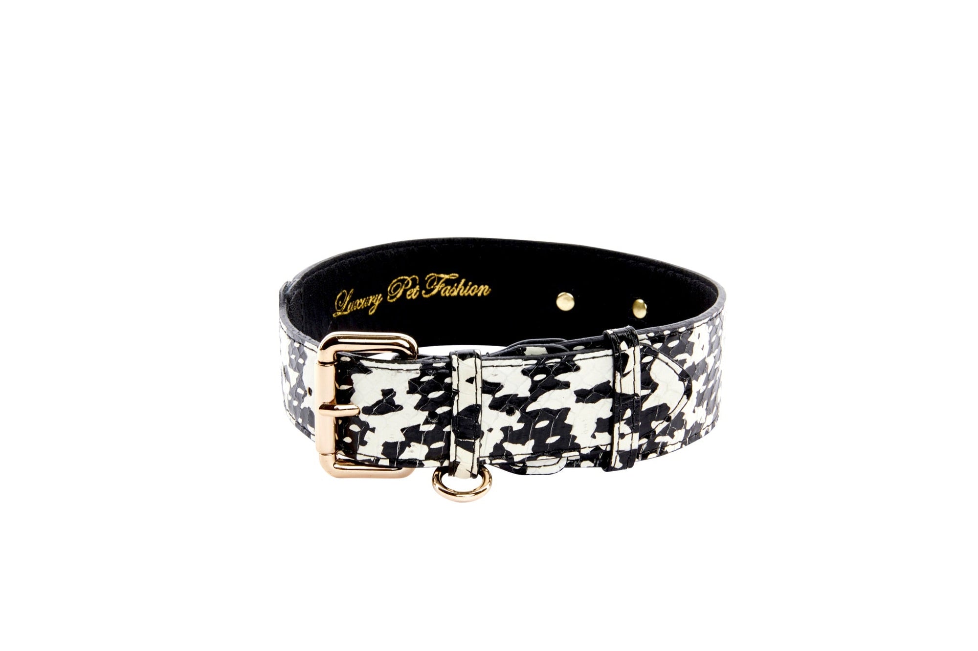 Allysa Payne Black & White Snake Dog Collar With Classic Gold Hardware