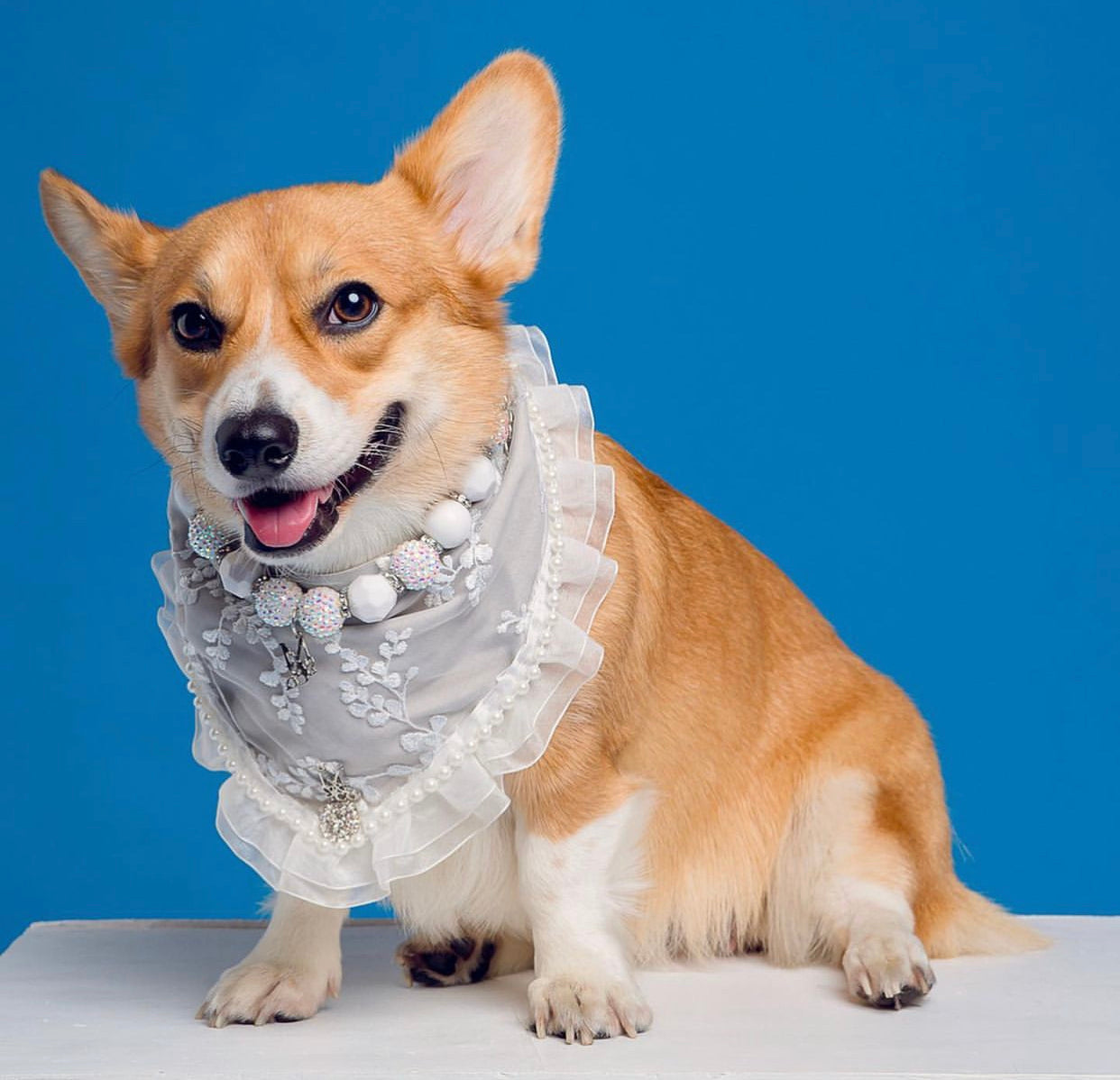 Romance Collection: Forever