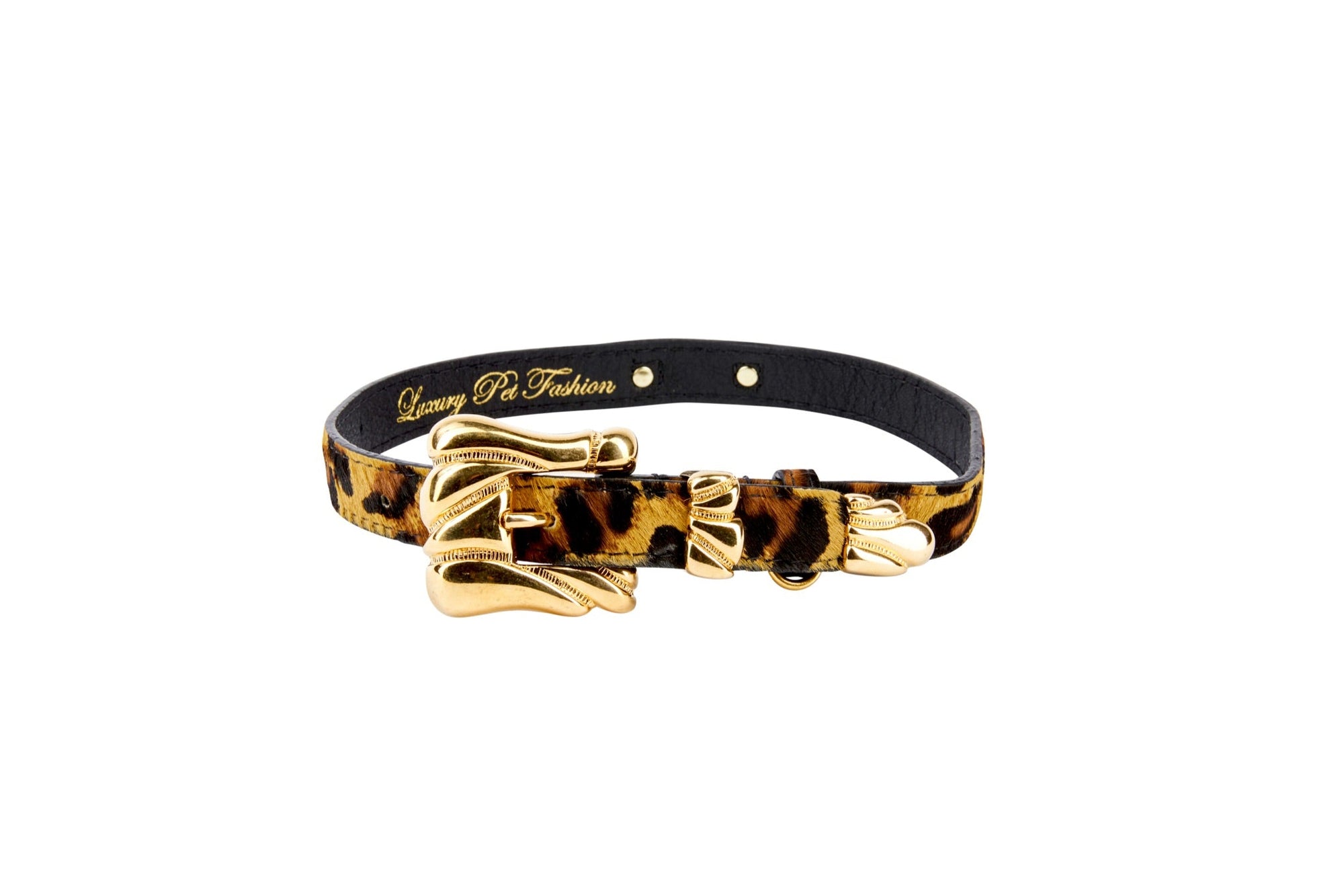 Allysa Payne Leopard Print Hair On Hide Italian Leather Dog Collar With Ornate Italian Hardware