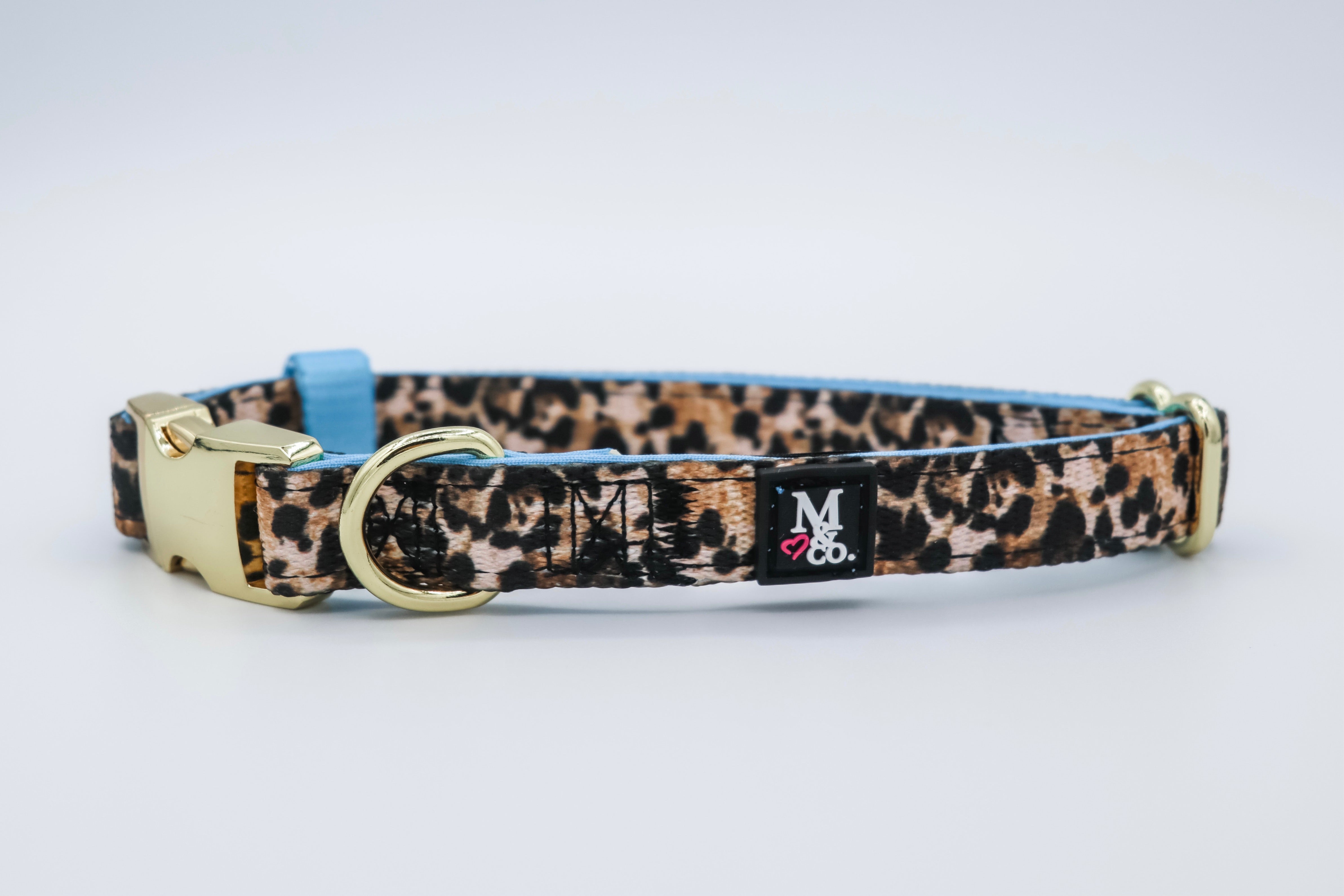 Exotic Collar