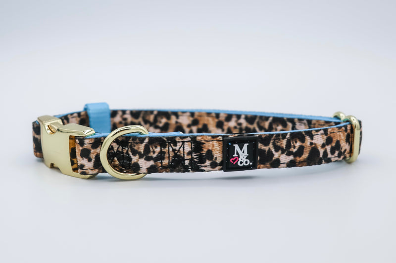 Exotic Collar