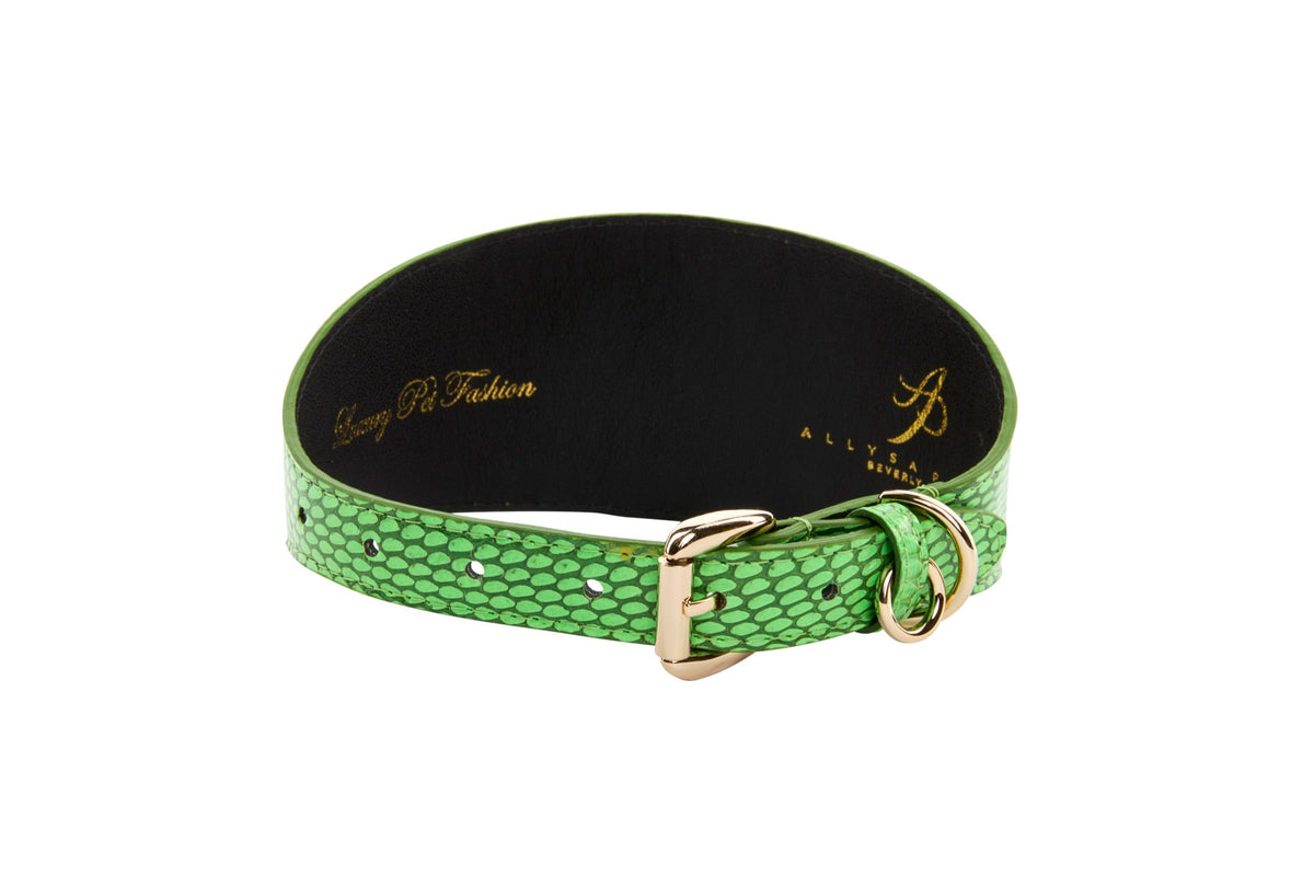 Allysa Payne Dark Neon Green Snake 3-Inch Wide Style Dog Collar