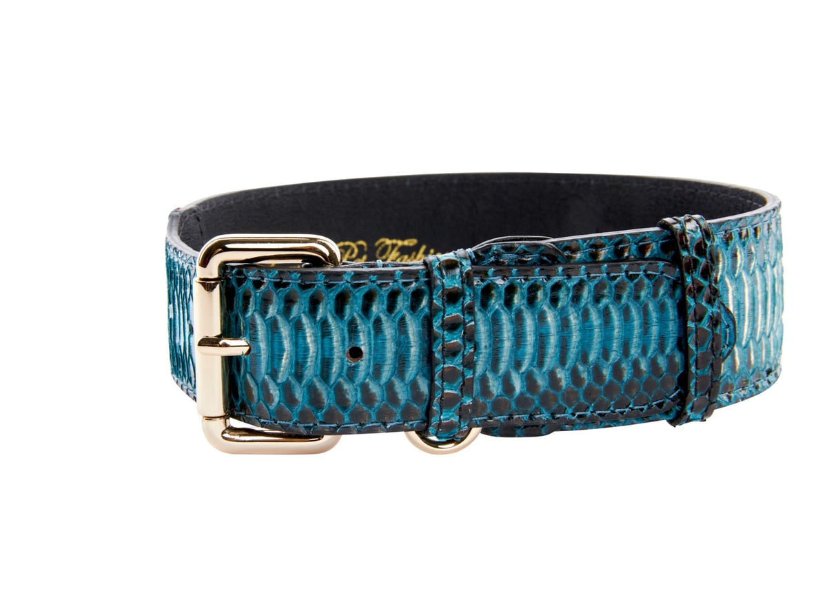 Allysa Payne Turquoise, Black Snake Classic Dog Collar With Gold Classic Hardware