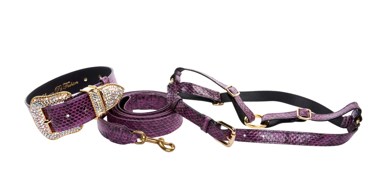 Allysa Payne Purple & Black Viper Snake Swarovski Dog Collar, Leash & Harness Set