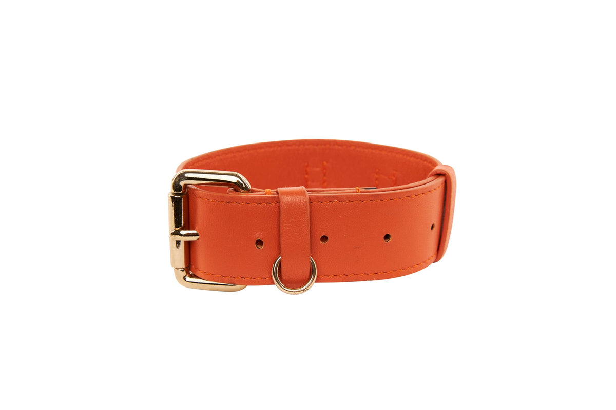 Allysa Payne Small Orange Italian Leather Classic Dog Collar