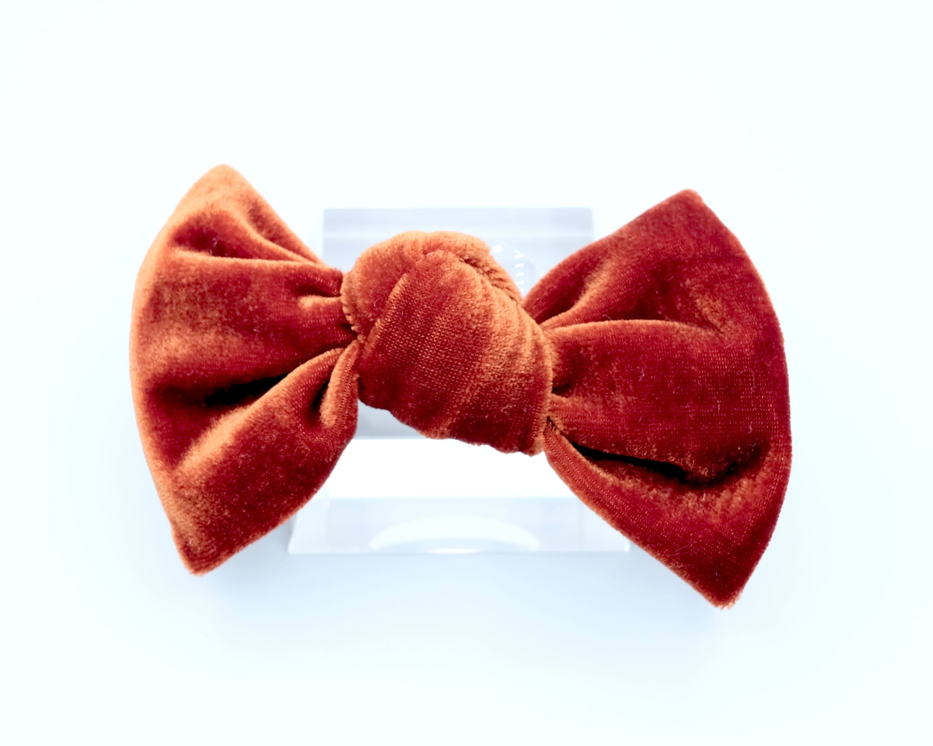 Velvet Knot Bow: Sun Kissed