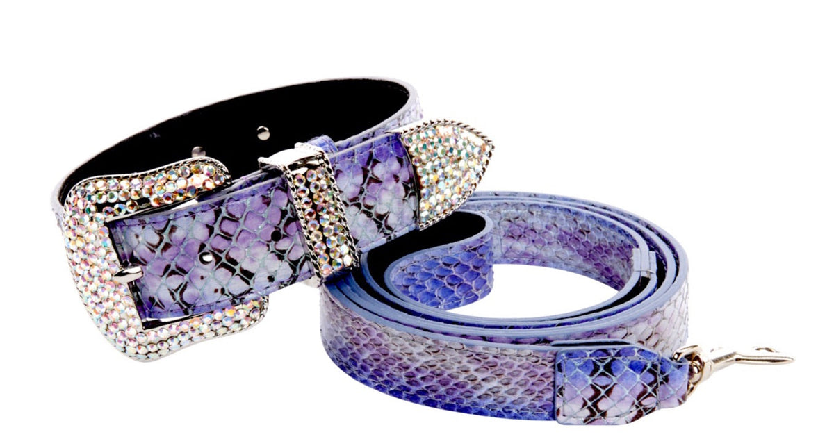 Allysa Payne Purple/Silver/Black Custom Iridescent Snake/Swarovski Crystal Dog Collar & Leash Set