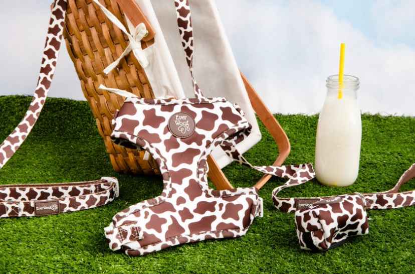 Chocolate Cow Adjustable Harness