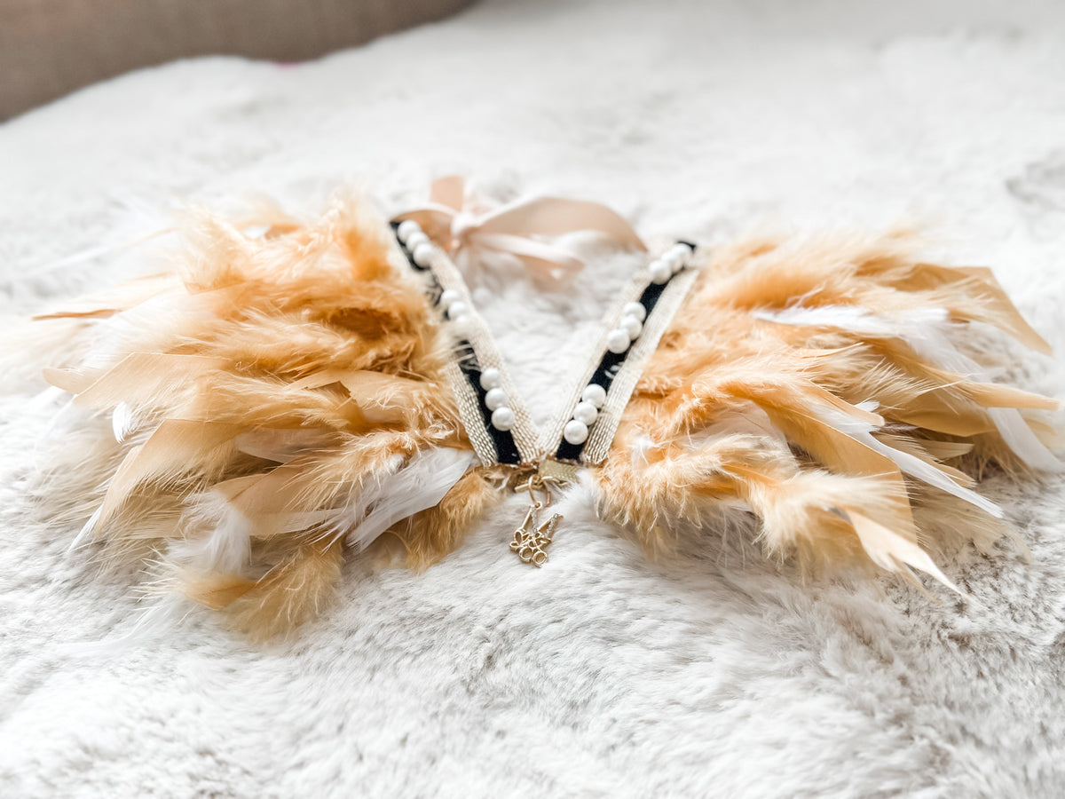 Haute: Daydream