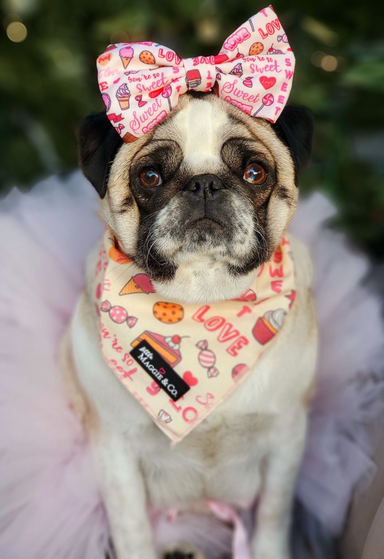 Bandana Set: Sweetie