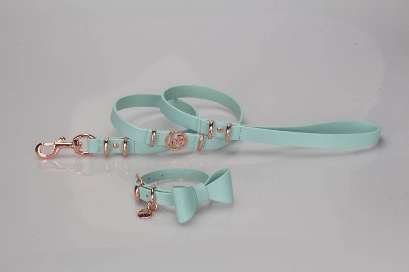 Leather Dog Lead (only) - Aquamarine
