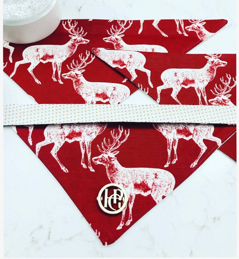 The Prancer Scarf