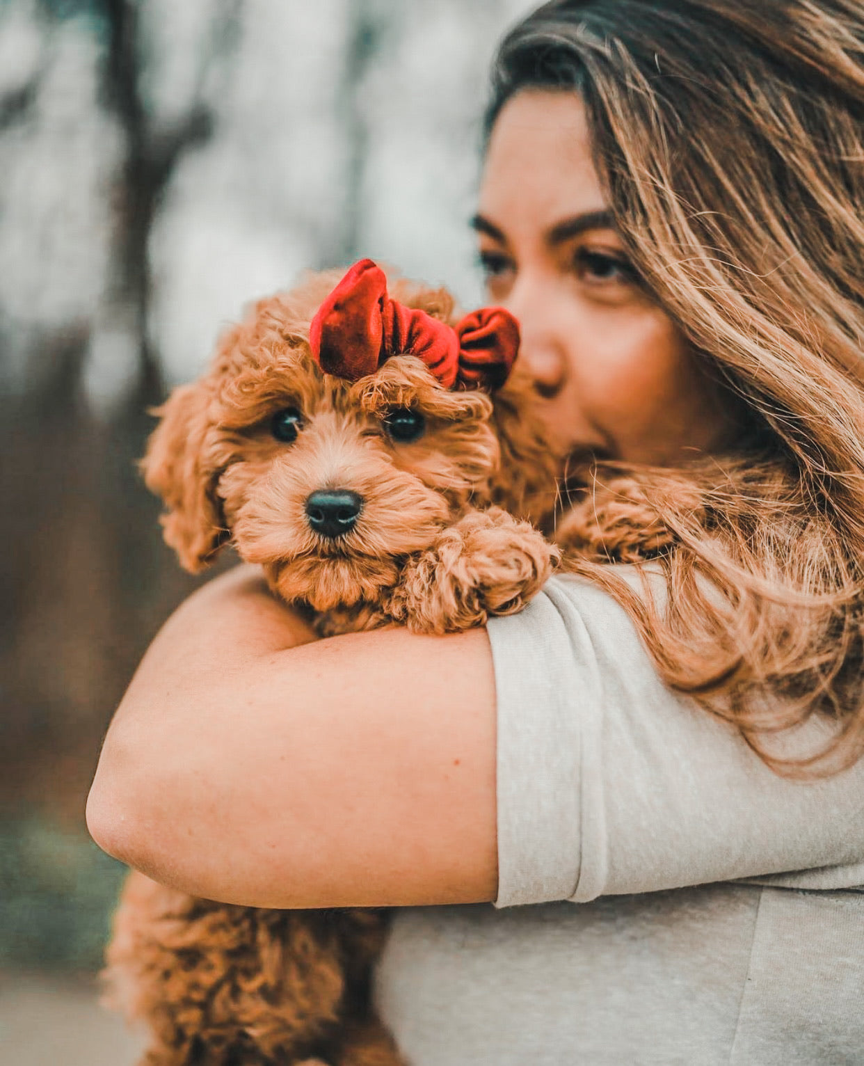 Velvet Bow: Ruby Red