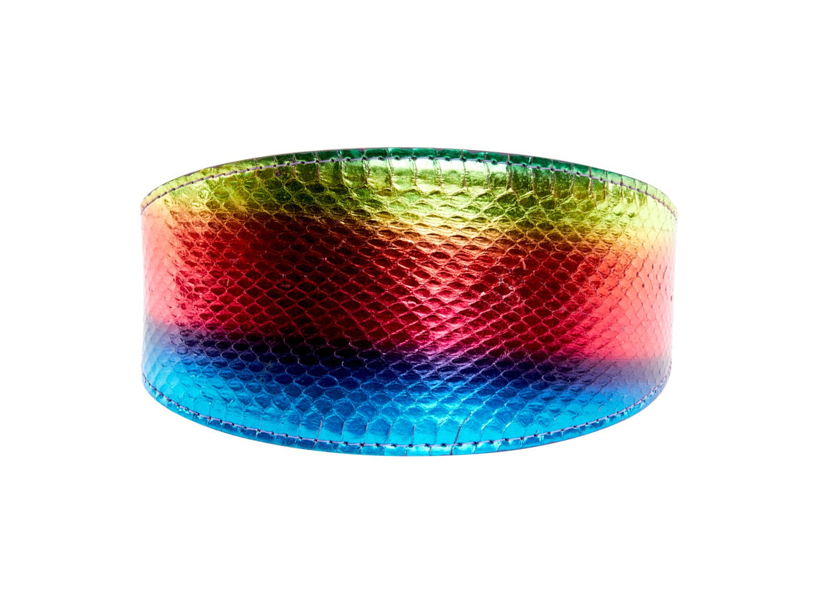 Allysa Payne Pride Collection. Rainbow Snake 3-Inch Wide Style Dog Collar
