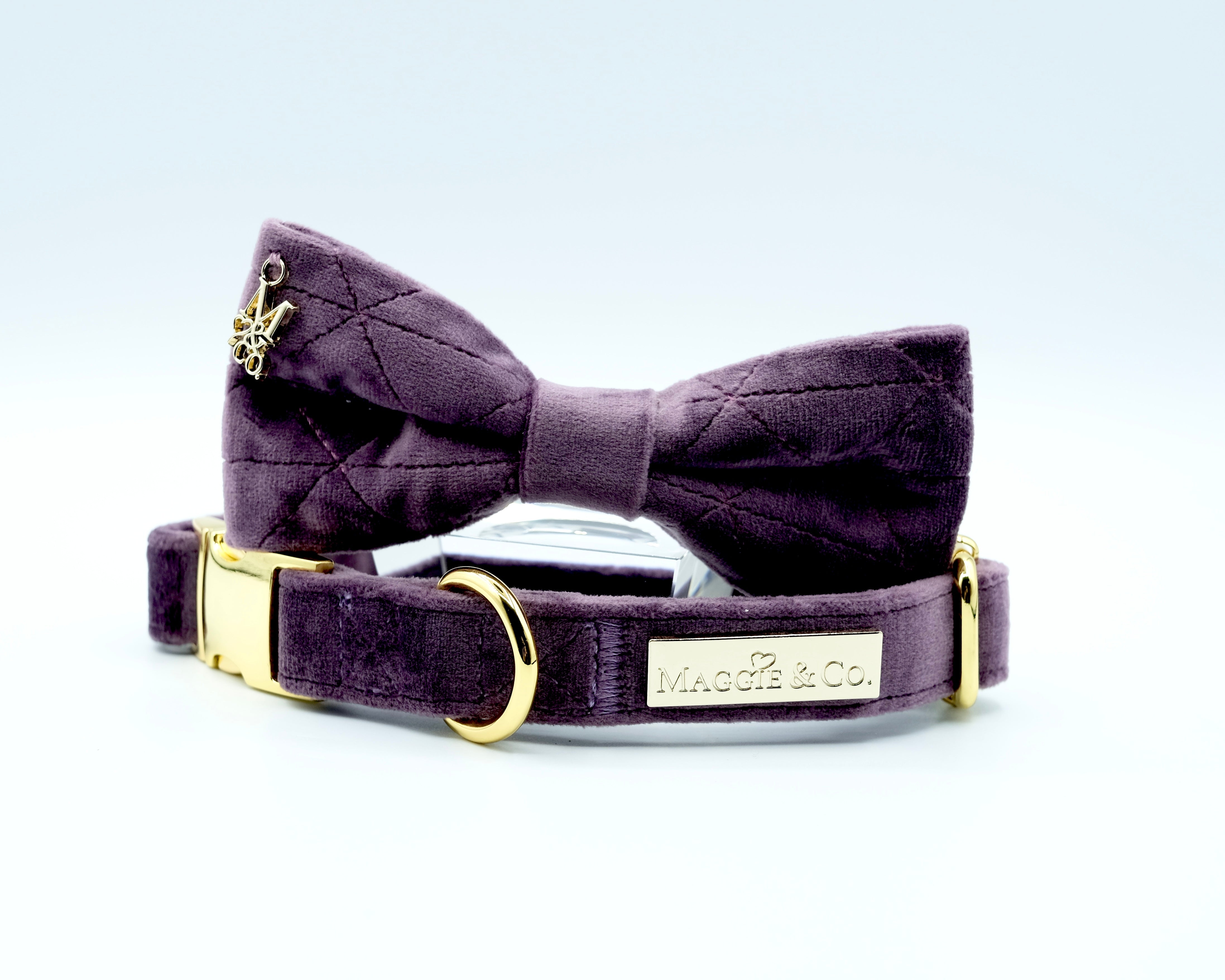 Velvet: The Susana Bow Tie Collar