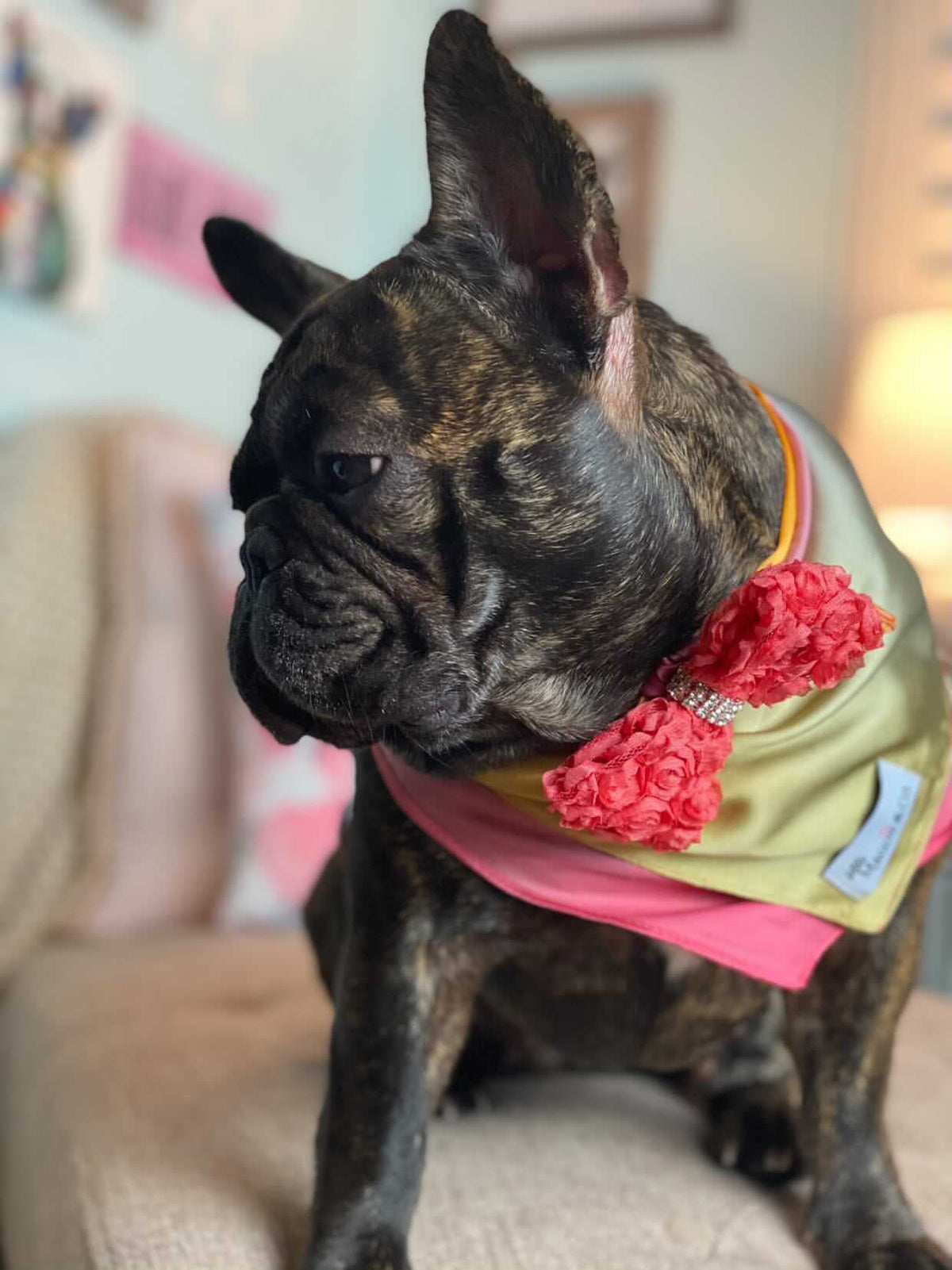 Scarf: Sandy