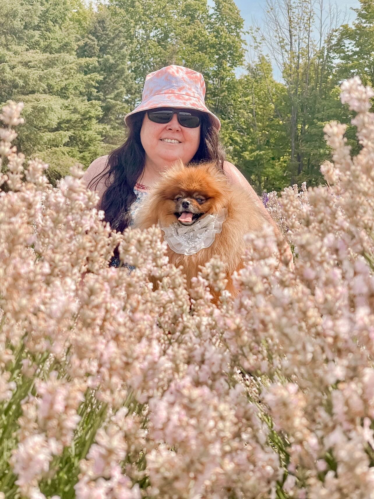 Romance Collection: Forever