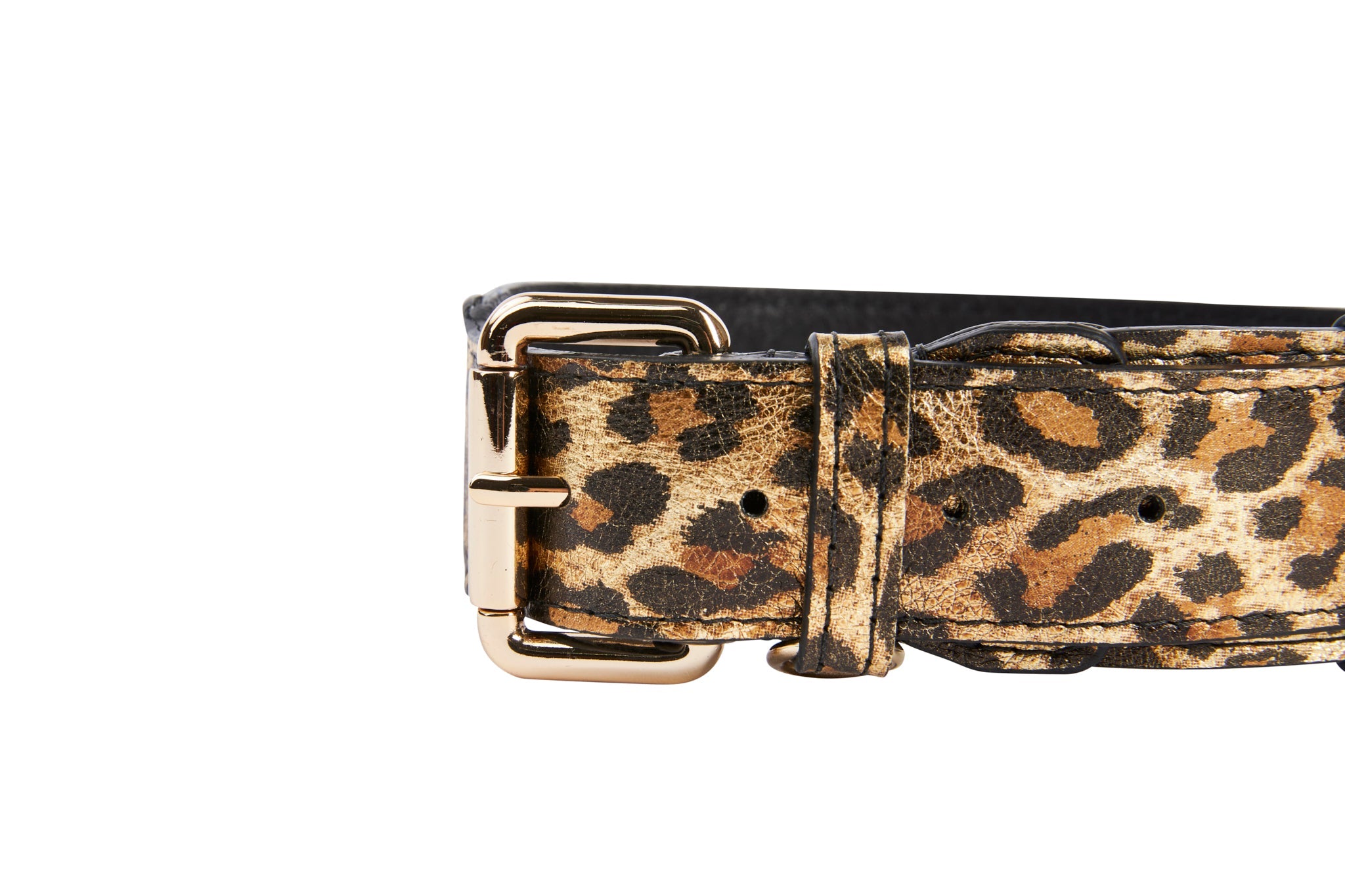 Leopard Print Italian Leather Collar With Gold Classic Hardware