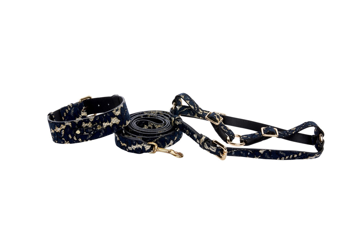 Allysa Payne Dark Navy Lace On Gold Italian Leather Classic Dog Collar, Leash & Harness Set