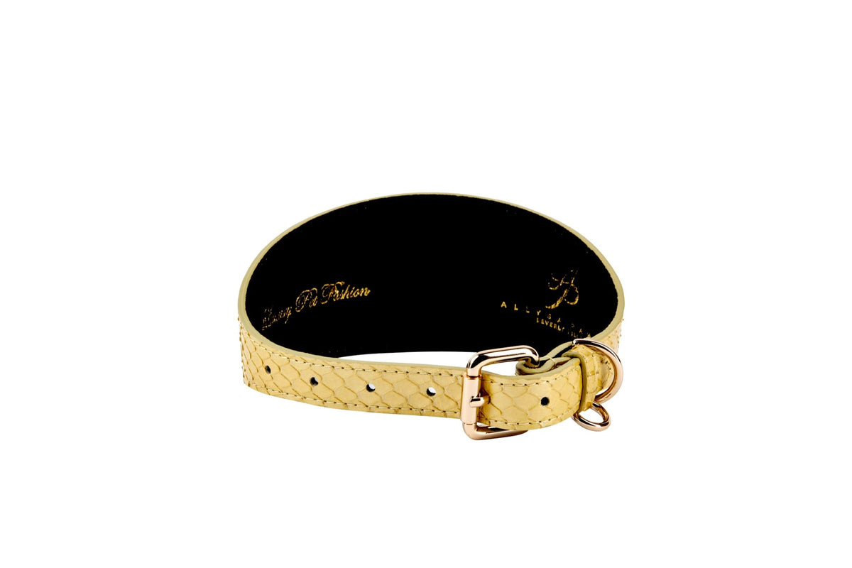 Allysa Payne Pearl Yellow Snake With Vintage Gold & Navy Rivets. 3-Inch Wide Style Dog Collar
