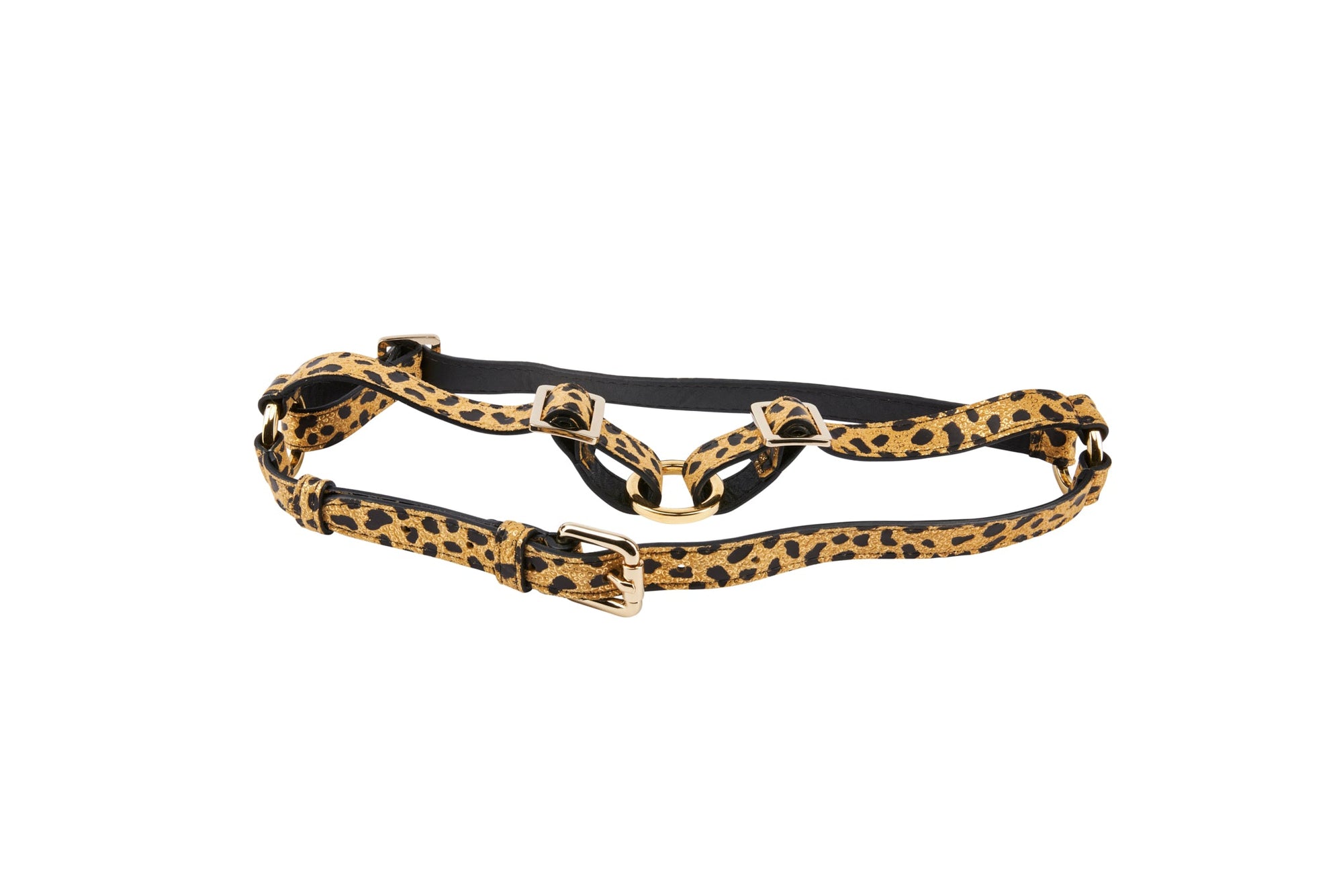 Allysa Payne Leopard Print Italian Leather Dog Harness