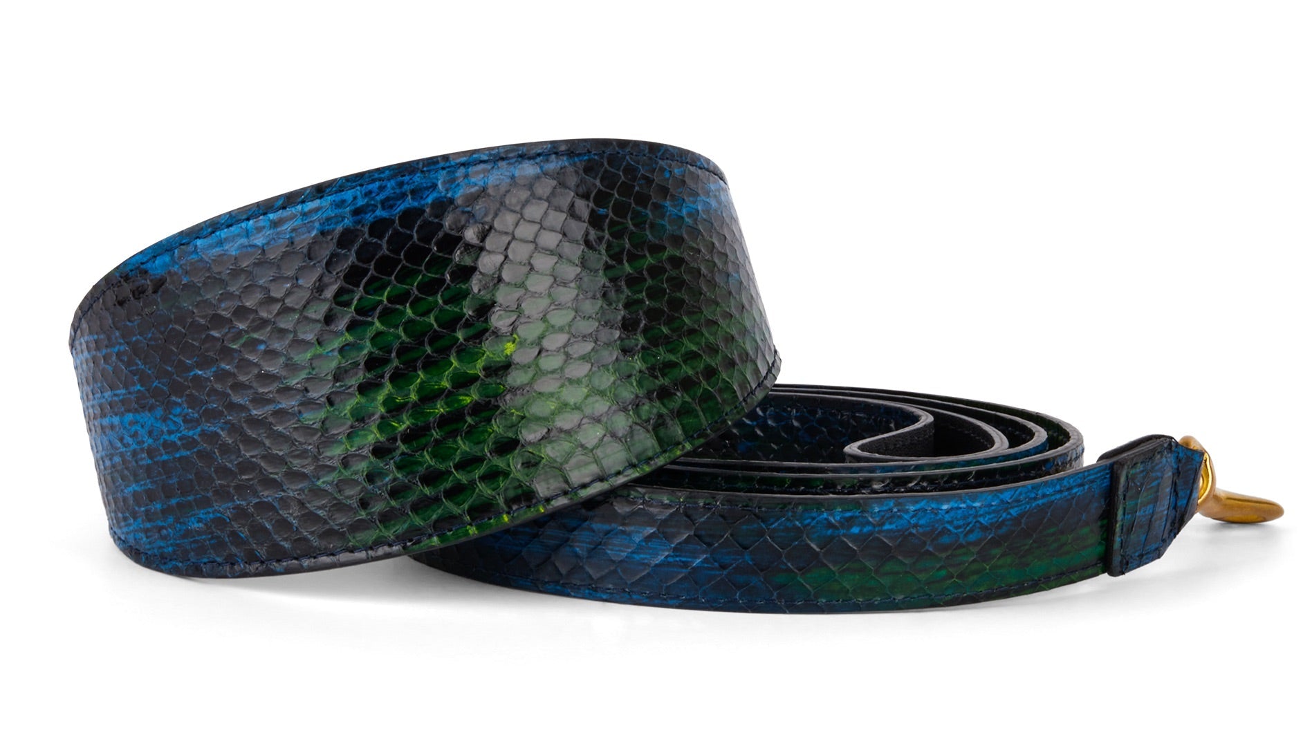 Blue, Green, Black, Yellow Snake 3" Wide Style Collar