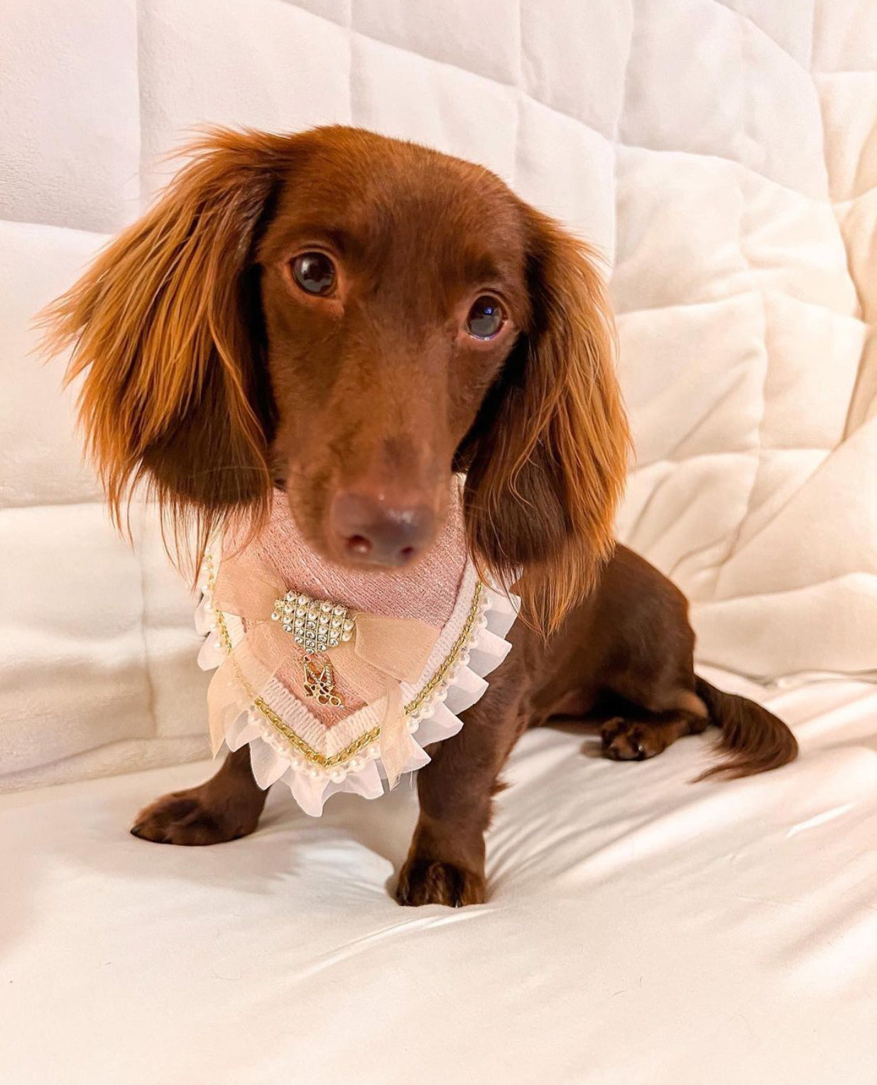 Romance Collection: The Amanda