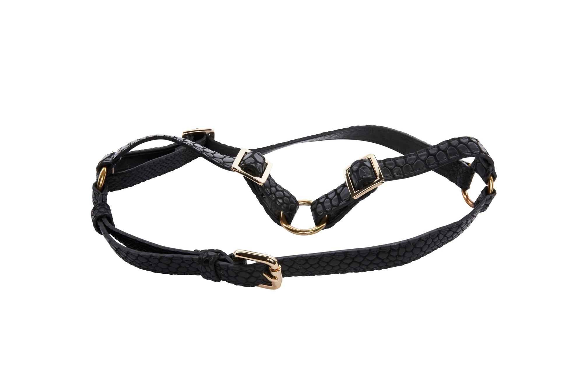Allysa Payne Black Embossed Snake Italian Leather Dog Harness