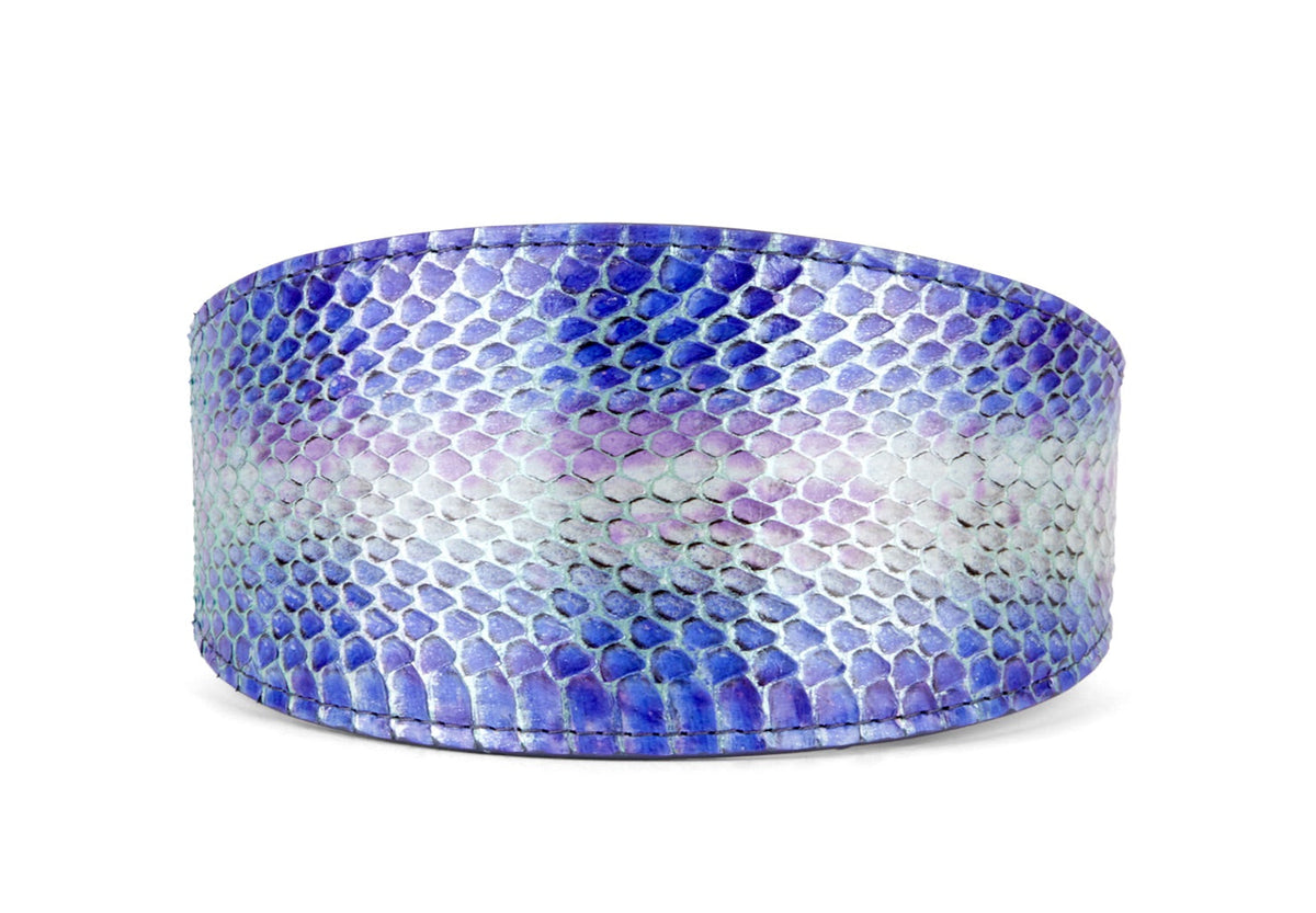 Allysa Payne Multi-Color Purple Silver Iridescent Snake 3-Inch Wide Style Dog Collar